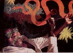 possum.jpg (23730 bytes)