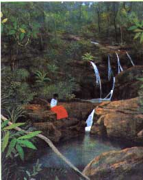 waterfall.jpg (17104 bytes)